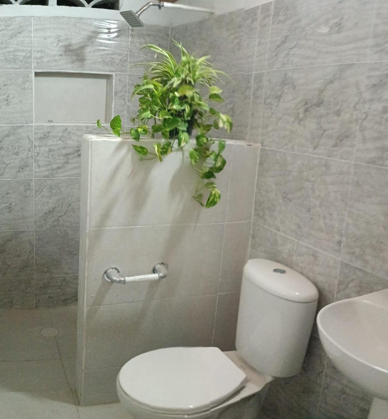 Ortimar Bed & Breakfast Tolú Dış mekan fotoğraf